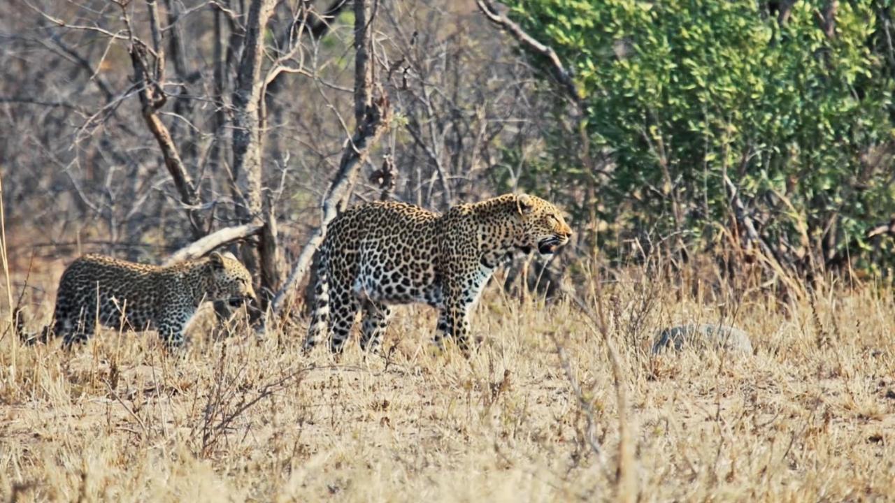 African Rest Lodge Barberton Luaran gambar